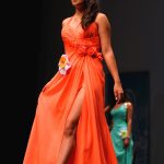 Diana-Silva-finalista-Miss-Queen-Portugal-2014